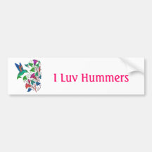 Rainbow Hummingbird Bumper Stickers