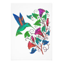 Rainbow Hummingbird Personalised Announcement