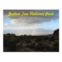 Rainbow in Joshua Tree Postcard