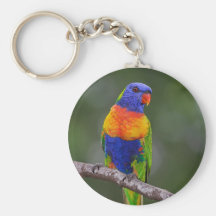 Rainbow Lorikeet Trichoglossus Haematodus Parrot Keychains