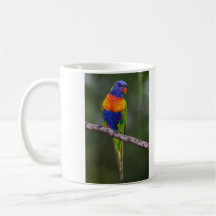 Rainbow Lorikeet Trichoglossus Haematodus Parrot Mugs