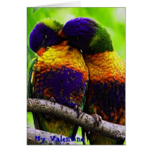 Rainbow Lorikeets, My Valentine Cards