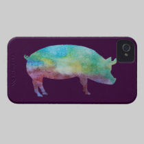 Rainbow Pig casemate cases