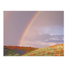 Rainbow Postcard