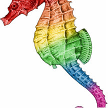 Rainbow Seahorse Cut Out
