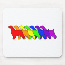 Rainbow Springer Mouse Mat