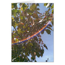 Rainbow Tree Card