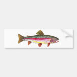 Rainbow Trout Fish Bumper Stickers