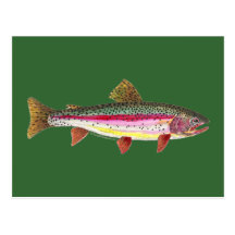 Rainbow Trout Fish Post Cards