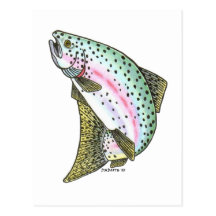 RAINBOW TROUT POST CARD