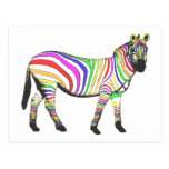 Rainbow Zebra Post Card