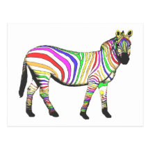 Rainbow Zebra Post Card