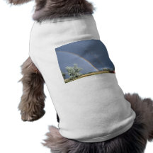 Rainbows Dog Clothing