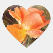 Raindrops on Roses..... Sticker