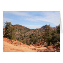 Rainwash Trail Greeting Cards