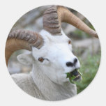 ram stickers