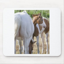 ranch moments mouse pad