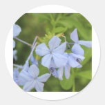 Random Garden Flowers #2 Stickers