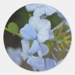 Random Garden Flowers Stickers