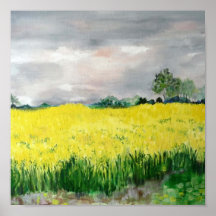 rape seed field print