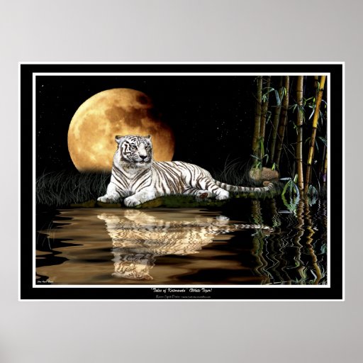 RARE WHITE TIGER & MOON Art Prints & Posters