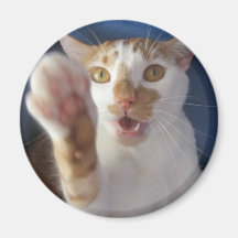 Rarrrrrr Refrigerator Magnet