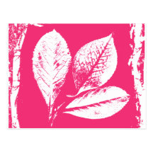 Raspberry Leaves Woodcut in Pink and White Post Cards