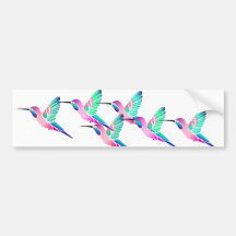 Raspberry Mint Sorbet Hummingbirds Bumper Sticker