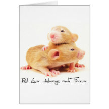 Rat Lover Always and Forever Cards