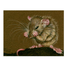 Rat Mad Paws Up Postcard
