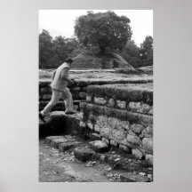 Raul among the Ruins Poster