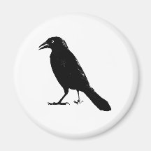 Raven Magnet