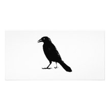 Raven Photo Card Template