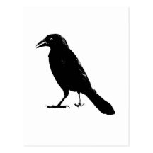 Raven Postcard