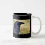 RAVEN STUDY Collection Mugs