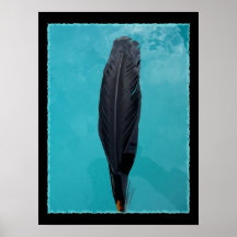 Raven's Feather Posters
