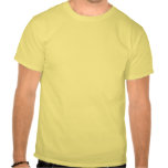 Ravi Shankar Tribute To Sitar -Arches, Music, Star Shirts