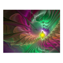 Raydianze AP-Edam Postcard
