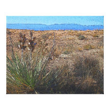 Re-Painted Desert Prairie X Large Gallery Wrap Canvas