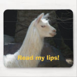 Read my lips! mouse pads