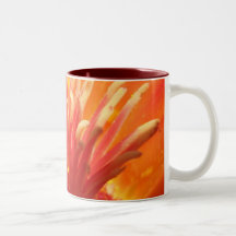 ready to burst mugs