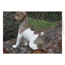 Ready to hunt greeting card