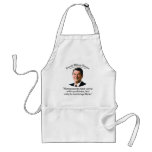 Reagan Government & Problems Aprons