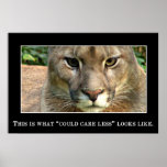 Really couldn't care less poster