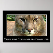 Really couldn't care less poster
