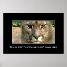 Really couldn't care less [XL] Print