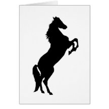 Rearing horse cards
