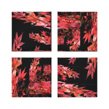 Red Acer Wrapped Canvas Canvas Print