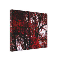 Red and Black Canvas Prints