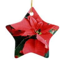 Red and Green Christmas Poinsettia 2 ornaments
